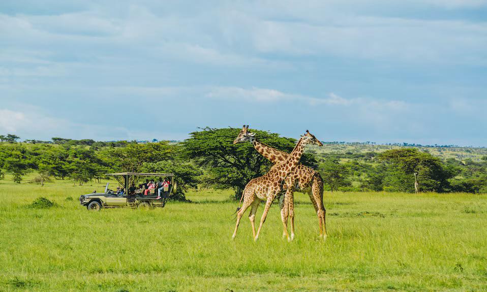 3 Days Nairobi Exploration