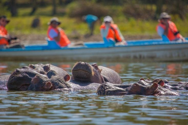5 Days in Nairobi & Lake Naivasha